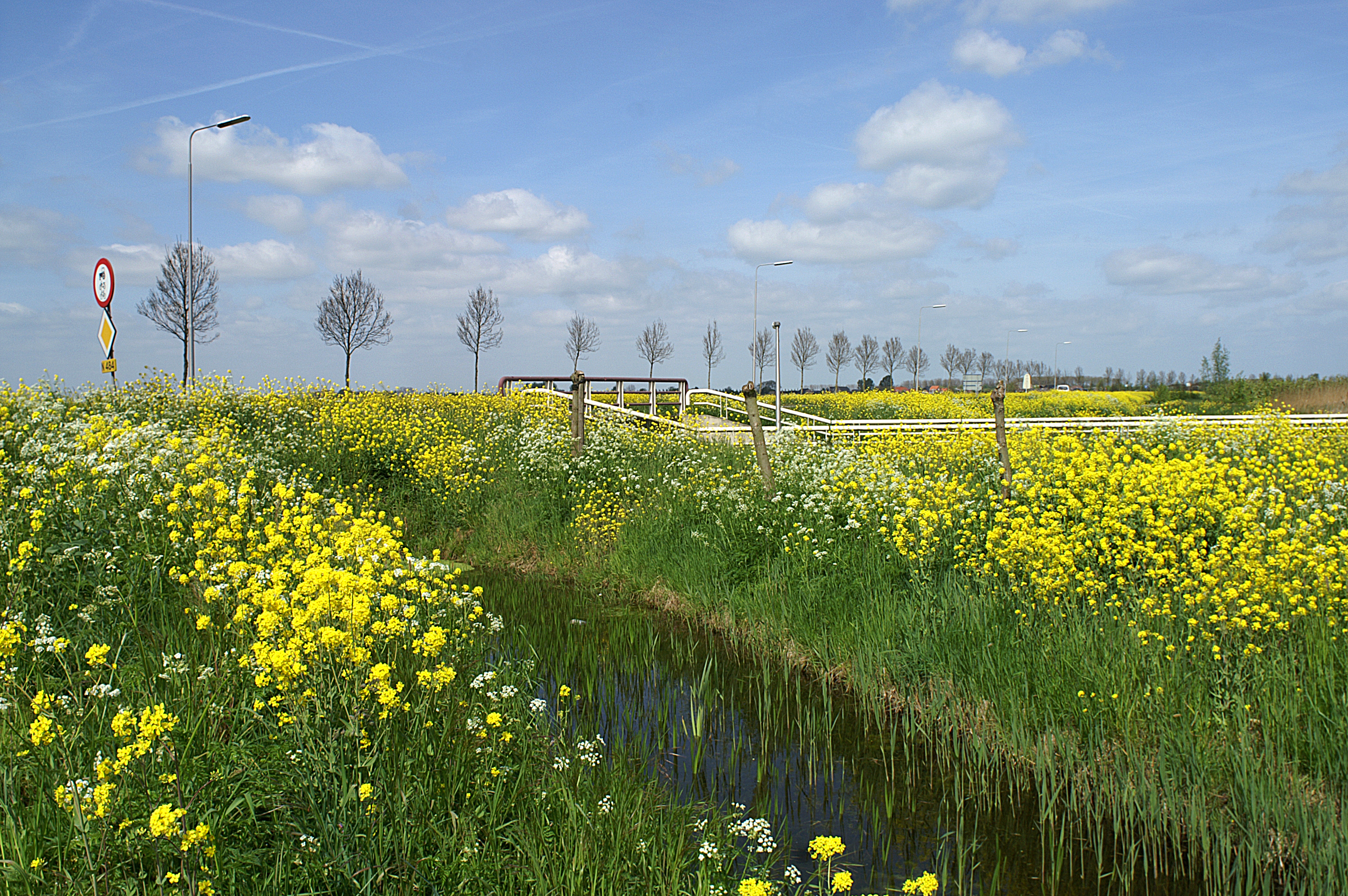 genieten-van-het-hollandse-voorjaar
