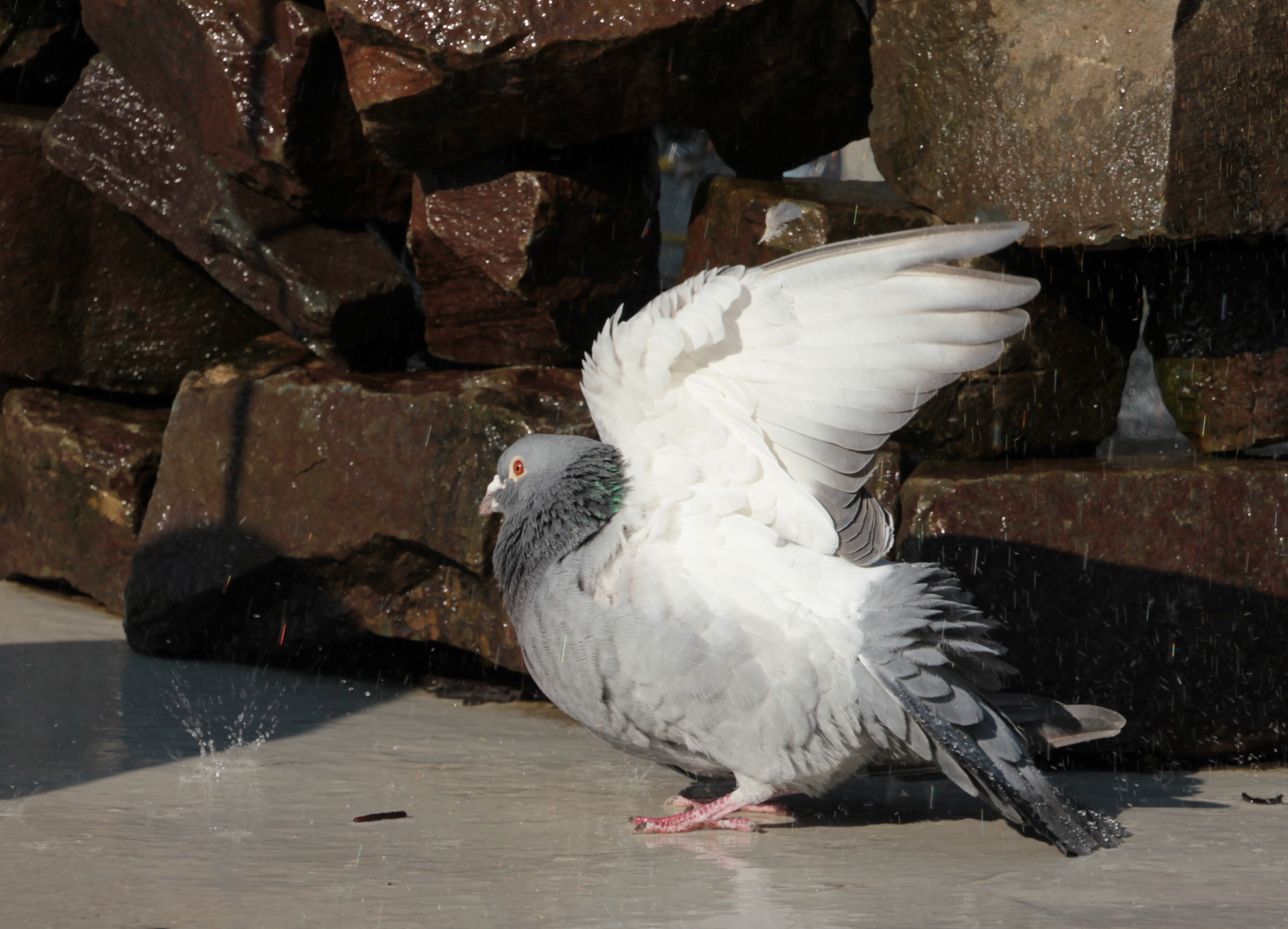 voorjaars-schoonmaak