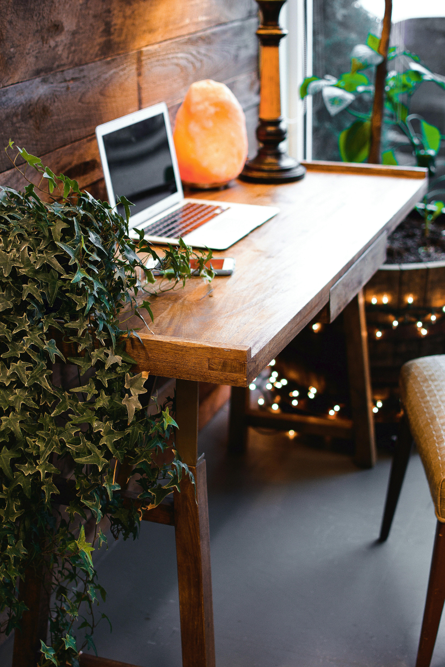 Image: Close-up of a wooden desk in a conservatory, with a laptop, a houseplant, and atmospheric lighting